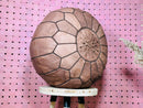 Moroccan Leather Pouf Ottoman - Neutral Round Ottoman Footstool - Leather Ottoman Pouf for Living Room Decor, Coffee Table, and Tray Holder