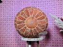 Handcrafted Moroccan Leather Pouf - Bohemian Berber Floor Cushion, Perfect Footstool & Living Room Decor, Ready to Ship pouf