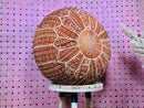 Handcrafted Moroccan Leather Pouf - Bohemian Berber Floor Cushion, Perfect Footstool & Living Room Decor, Ready to Ship pouf