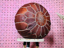 Authentic Moroccan Leather Pouffe - Handcrafted Artisan Footstool, Boho Decor Ottoman, Unstuffed Moroccan Pouffe