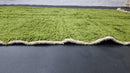 Handmade Moroccan Rug – Custom Green Wool Area Rug, Off Green Custom Rug, Modern Rugs for Living Room, 5x7 Rug, 8x10 Rug, Large Rugs